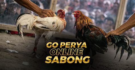 go perya login|go perya online sabong.